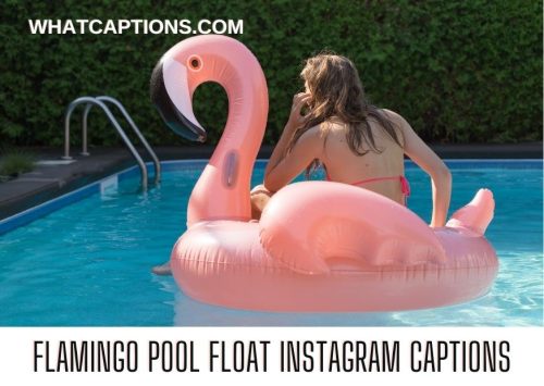 Flamingo Pool Float Instagram Captions