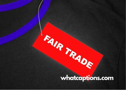 Trade Fair Captions for Instagram with Quotes